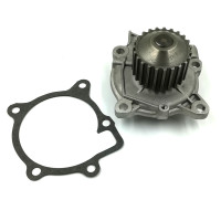 ELAN M100 WATER PUMP & GASKET