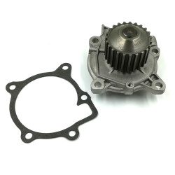 ELAN M100 WATER PUMP & GASKET
