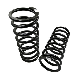 ELAN M100 REAR COIL SPRINGS (PAIR)