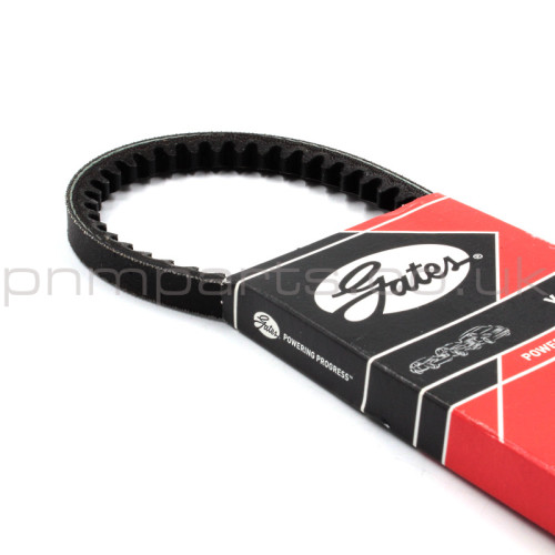 ESPRIT S4, S4s & GT3 WATER PUMP / PAS V BELT