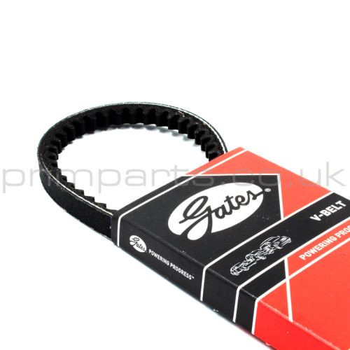 ELITE (POWER STEERING) ALTERNATOR V BELT