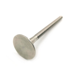 ESPRIT & EXCEL 912 2.2L NA EXHAUST VALVE