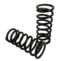 ELAN M100 FRONT SPORTS COIL SPRINGS (PAIR)