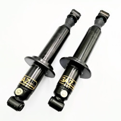 ESPRIT S1 & S2 GAZ REAR SHOCK ABSORBERS (PAIR)