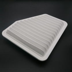 EVORA & EXIGE V6 AIR FILTER